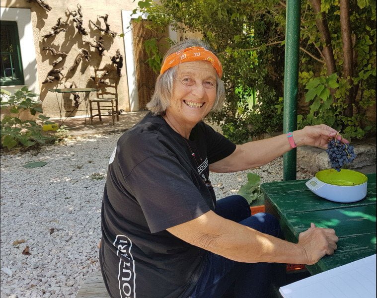 Οινοποιία Μπουτάρη - Σαββατιανό Μάτσα 2019 - Gastronomy Tours - Gastronomy Tours